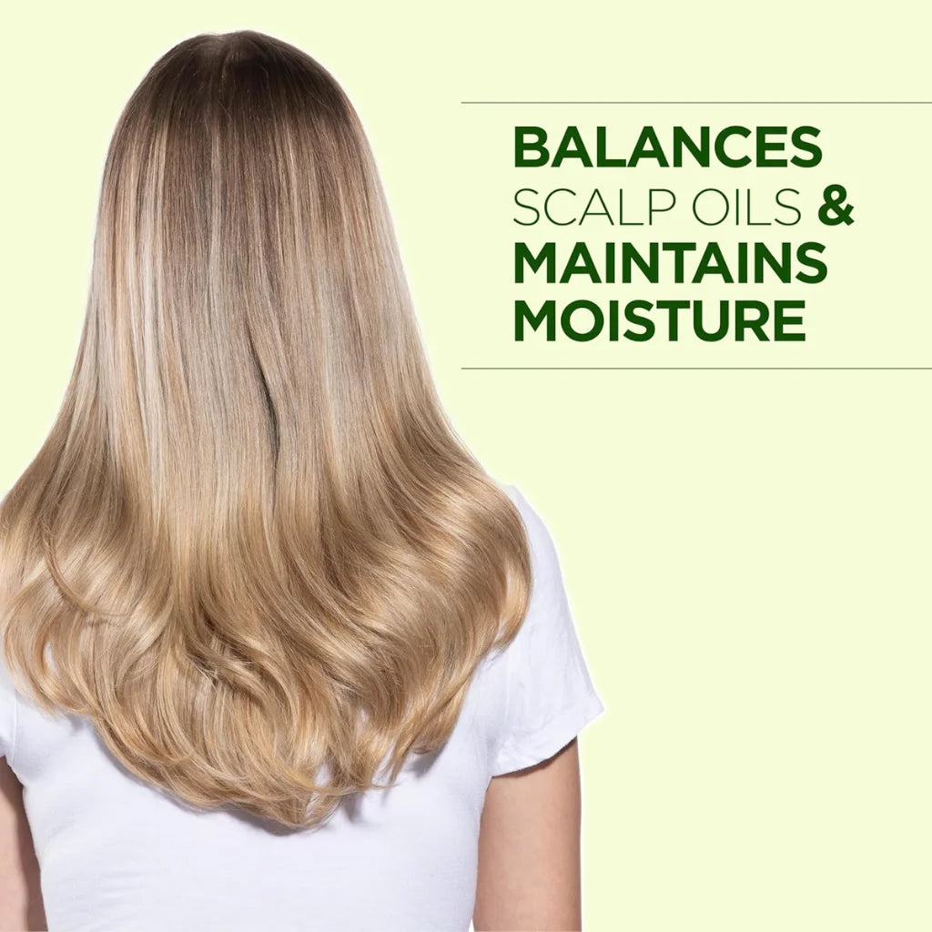 CHI Tea Tree Oil Conditioner 739ml – Invigorating Scalp Care & Moisturising Formula