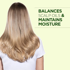 CHI Tea Tree Oil Conditioner | Balances Scalp & Nourishes Hair | 739ml
