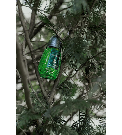 Pino Silvestre Original Eau De Toilette Spray - Fresh Italian Nature Fragrance 125ml