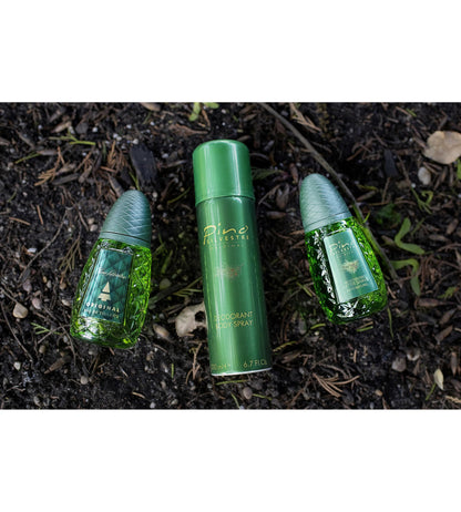 Pino Silvestre Original Eau De Toilette Spray - Fresh Italian Nature Fragrance 125ml